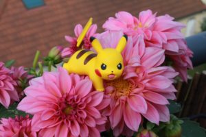Pokémon Go - Smart Joggen mal anders! 1 pokemon-1529246_1920