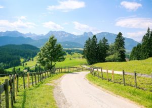 Warum macht Joggen glücklich? 1 Beim Joggen kann man einfach mal die Natur genießen!