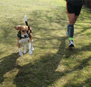 Laufen mit dem Hund - Tipps & Tricks im Interview. 5 laufen mit Hund