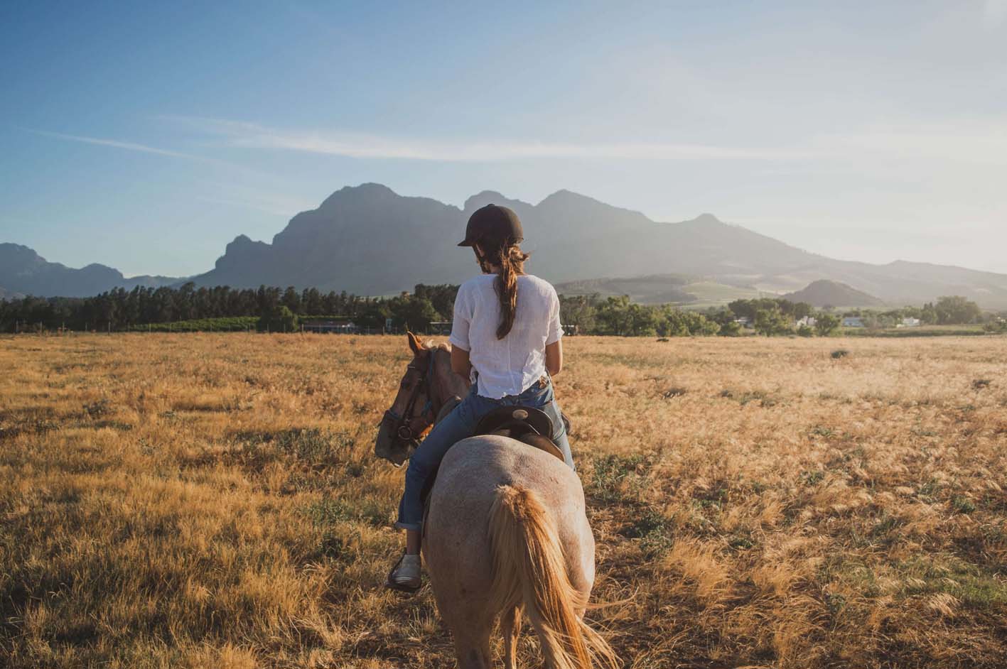 Horsebackriding nature 1